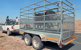 HOW TO TRANSPORT FARM ANIMALS TO THEIR NEW HOME?